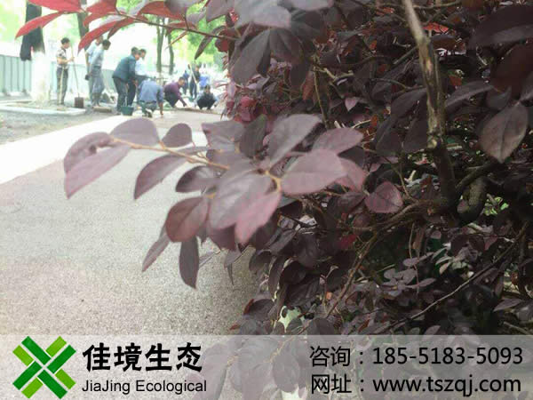 彩色透水混凝土路面施工